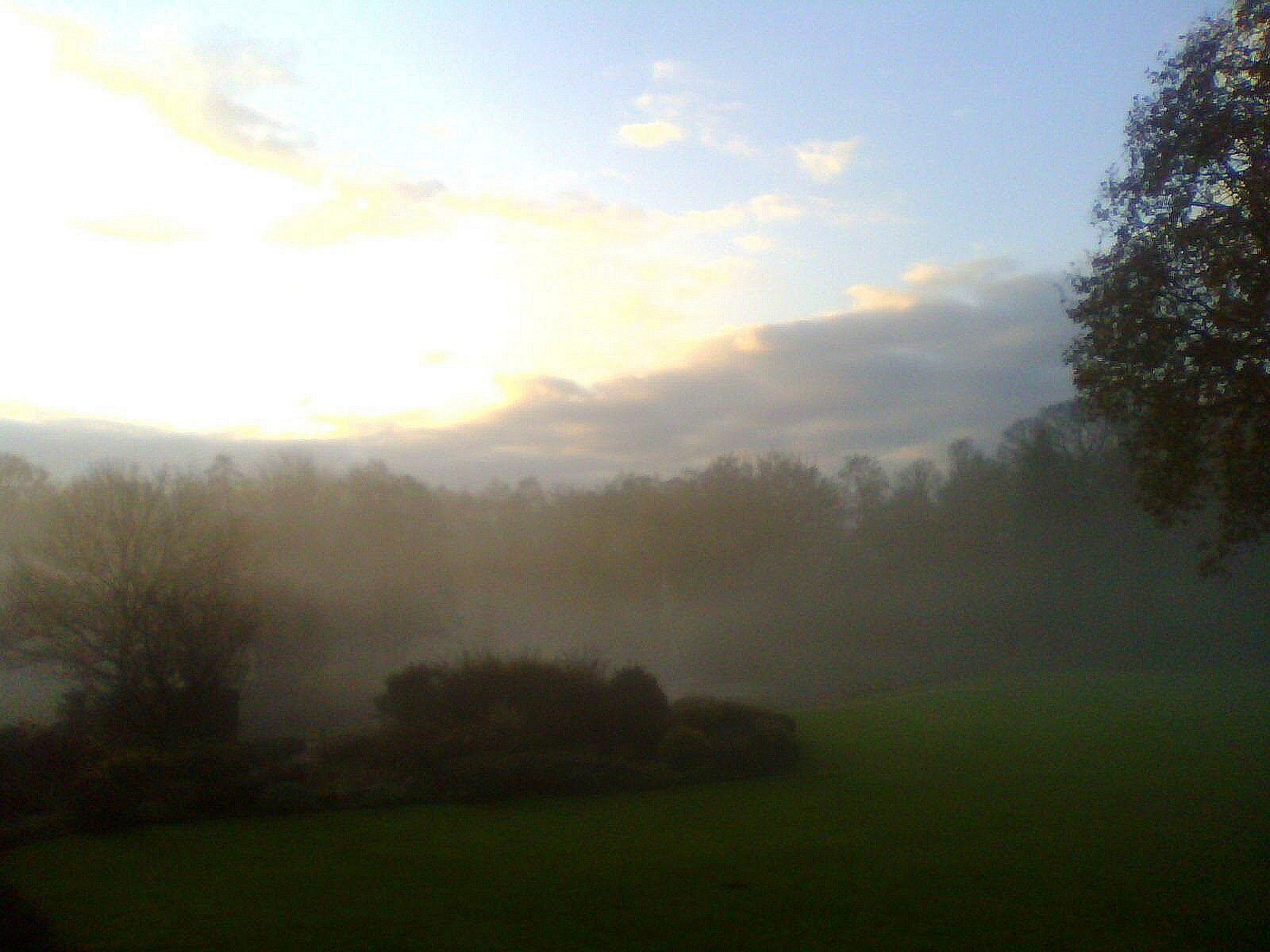 Collection of liquid water droplets or ice crystals suspended in the air at or near the Earth's surface